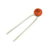 22pF Ceramic Capacitor-1