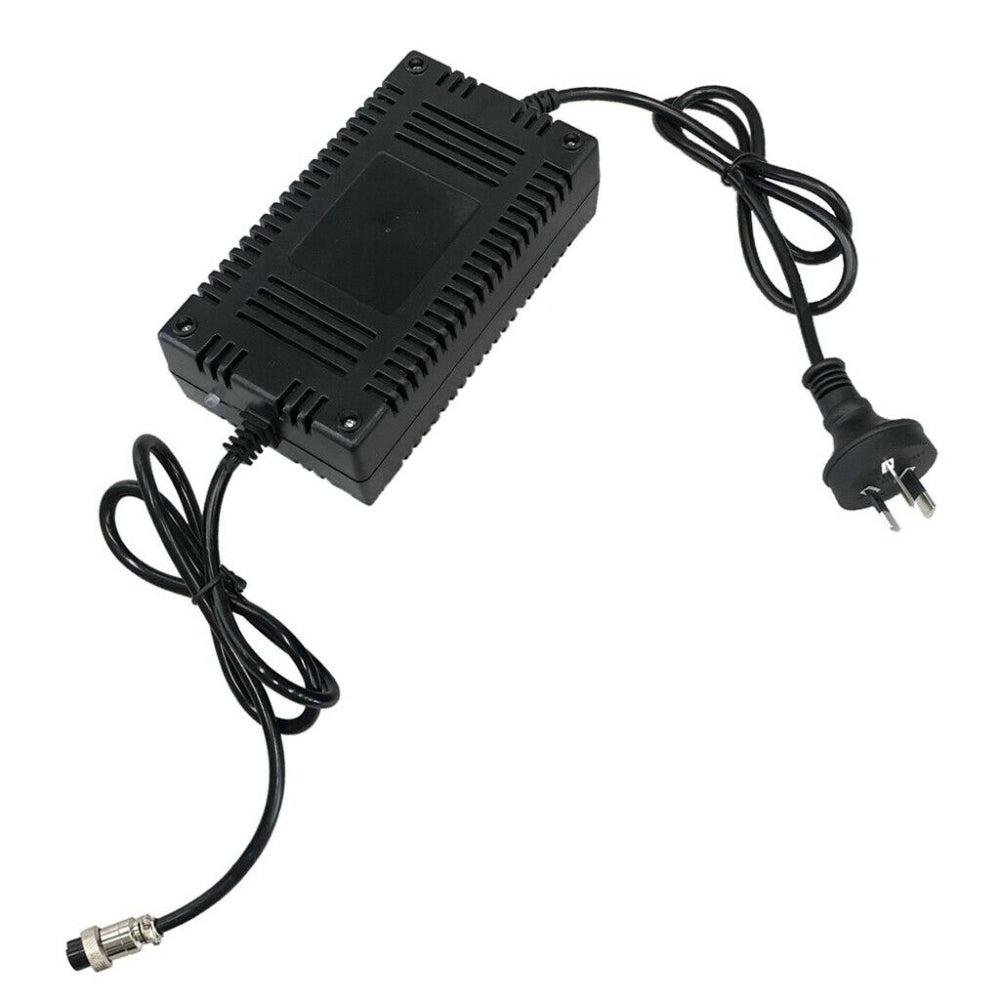 24V 36V 48V Lithium Battery Charger for E-Bike Tricycle