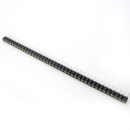 40 Pin Berg Strip Female Rounded Hole Type pins spaced at 2.54mm -