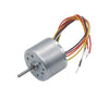 BLDC 2418 12V Small Brushless DC Motors