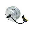 36V 250W E-bIKE Brushless Hub DC Motor with Disc Brakes
