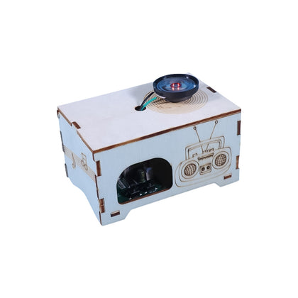 Retro Tech! DIY Phonograph & Recorder STEM Kit