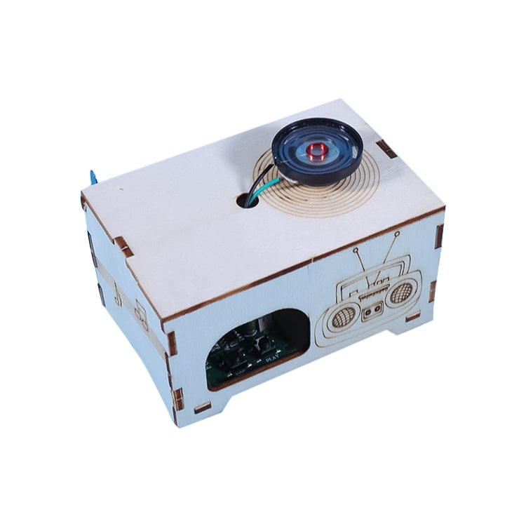 Retro Tech! DIY Phonograph & Recorder STEM Kit)_1